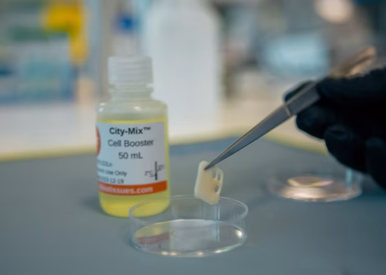 samenwerking 3D Bio-Tissues en SeaWith moeten kosten kweekvlees verlagen